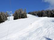 Descente Peheimabfahrt, piste FIS homologuée