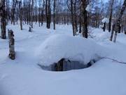 Il y a toujours suffisamment de neige dans la station de ski Rusutsu.