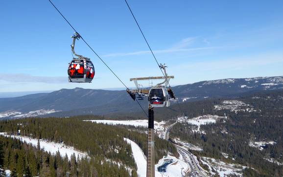 Remontées mécaniques Zwieseler Winkel – Remontées mécaniques  Arber