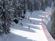 Cours de ski pour enfants sur l'Alpe Cermis