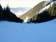 Descente depuis l’Unternbergalm