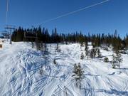 Zones freeride à côté des pistes