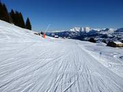 Piste bleue de Crest Falla à Canischauna