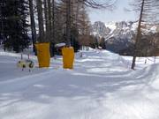 Bon plan pour les enfants : 