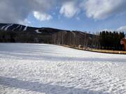 Piste d'entraînement Bunny Hill à la station de vallée
