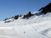 Descente vallée n° 1c Meierhof