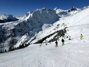 Descente Dias Alblitt