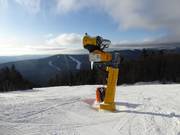 Canons à neige performants dans le domaine skiable Hochficht