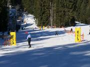 Piste de slalom
