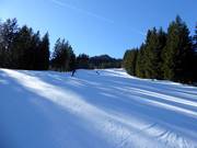 Piste Kurvenliftabfahrt