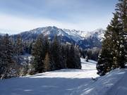 Piste facile Seehof