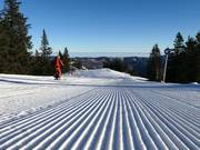 Très bonne préparation des pistes