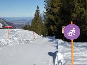 Bon plan pour les enfants :  - Piste de luge Furt-Maienberg-Wangs