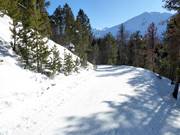Descente vers Tschierv