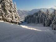 Piste familiale vers Wegscheid