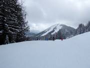Piste très facile au Red Mountain Village