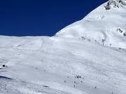 Large piste n° 44 Milez