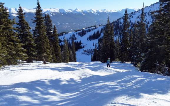 Domaines skiables pour skieurs confirmés et freeriders Parc national de Jasper – Skieurs confirmés, freeriders Marmot Basin – Jasper