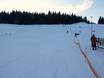 Domaines skiables pour les débutants dans les Monts Métallifères allemands – Débutants Rölzhang – Wildenthal