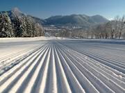 Piste fraîchement préparée au Jaudenhang