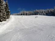 Piste facile dans la partie supérieure