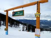 The School Yard Terrain Park pour les familles au Emerald Chair