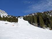 Piste difficile Brunnental