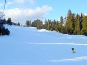 Large et facile : The Cut