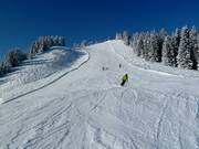 Descente au télésiège Gulmabahn
