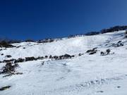 Piste à bosses Central Spur