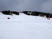 Zone d'entraînement au Téléski du Sommet