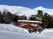 Chalet de restauration recommandé : Einkehrschwung Schöneben