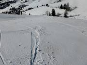 Zone de poudreuse sur la descente principale au téléski Stübenwasen