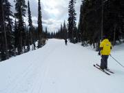 Des chemins de liaison relient les différents remontées mécaniques à Big White.