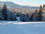 Descente à droite à travers la trouée forestière