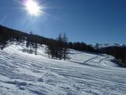 Piste de ski de fond d'altitude fraîchement tracée
