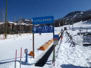 Little Ripper Carpet - Tapis roulant/Moving Carpet