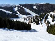 Piste difficile Variante Rainer