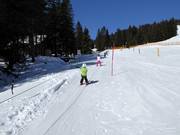 Teddy-Seillift Kinder-Lachtal - Télécorde/remonte-pente à câbles bas