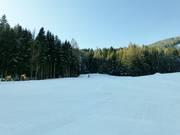 Partie supérieure de la piste bleue