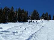 Hinterwieslift - Téléski à pioches