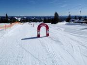 Bon plan pour les enfants : 