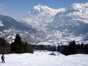 Vue sur Grindelwald