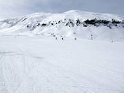 Sur la piste facile et large du Ciampac, les débutants peuvent s'entraîner.