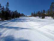 Piste très facile dans le domaine skiable de Stöten
