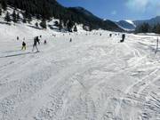 Piste de fuite neigeuse facile