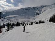 Vue sur les pistes de Le Brévent