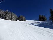 Piste difficile n° 5 Bort direkt