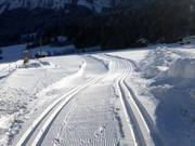 Piste de ski de fond Talloipe Mellau