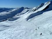 Beaucoup d'espace skiable libre au-dessus de la limite des arbres
